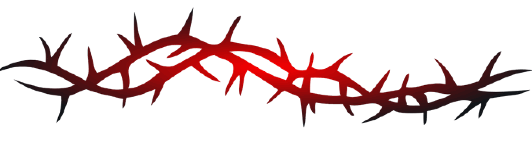 cropped-barbed.png